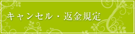 画像の説明 画像の説明